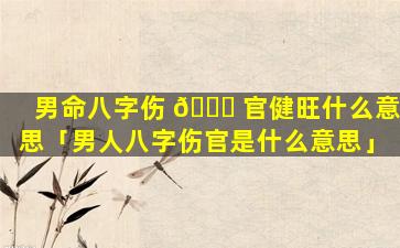男命八字伤 🐝 官健旺什么意思「男人八字伤官是什么意思」
